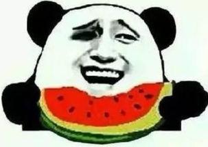 你还吃瓜,揭秘娱乐圈那些鲜为人知的幕后故事