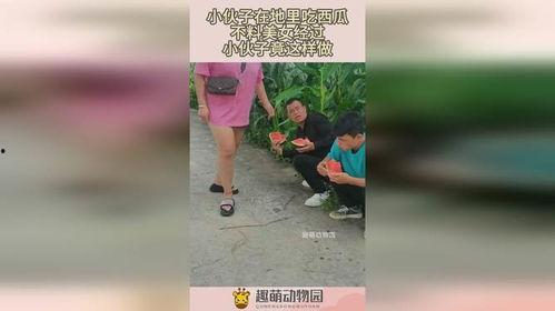 路过的吃瓜小伙,揭秘街头奇闻轶事