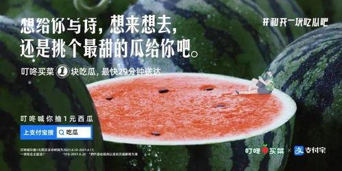 别吃瓜文案,理性看待网络舆论，守护个人隐私与心灵