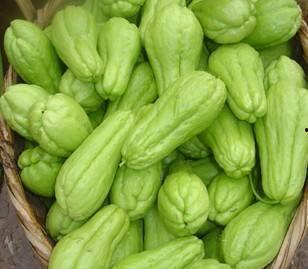 智力瓜怎么吃,开启智慧之门的美食之旅