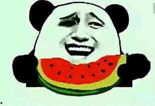 带你吃瓜奇葩画作大全,带你吃瓜奇葩画作大全中的奇思妙想