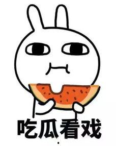 瓜瓜吃瓜感悟,感悟人生百态