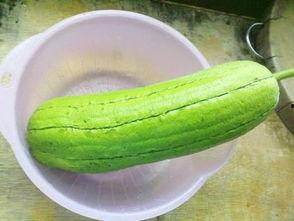 水瓜连皮吃吗,营养与健康的双重选择