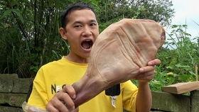 吃烤全羊刘大瓜