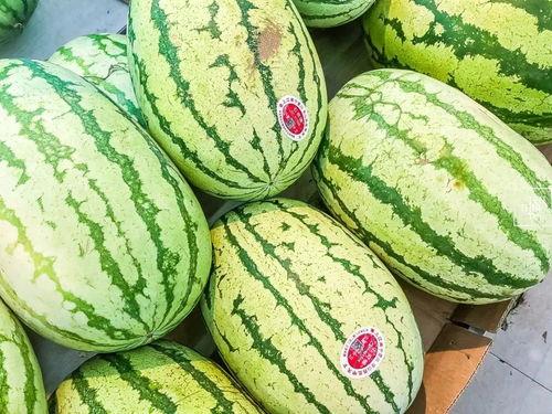 熙瓜瓜吃瓜,揭秘娱乐圈幕后故事