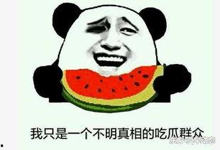 吃瓜事件 下载,揭秘网络舆论背后的真相与争议