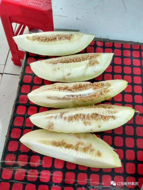 小孩带你吃瓜,畅游瓜果世界