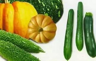 台湾媒体吃瓜事件,揭秘幕后真相与舆论风波