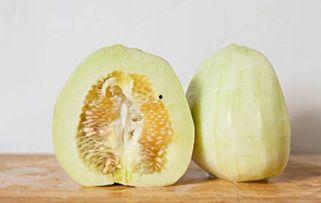 杨瓜不熟可以吃吗,杨瓜未熟也能食用？揭秘成熟与未熟杨瓜的食用差异