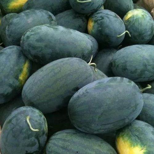 曹路张江吃瓜,一场别开生面的“吃瓜”盛宴