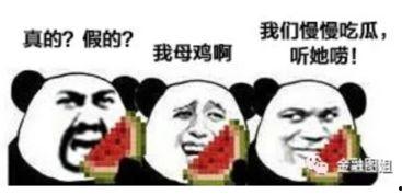 吃瓜打脸图片大全,图解网络舆论反转大戏