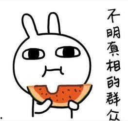 老司机吃瓜群,揭秘网络社交圈的趣味与争议