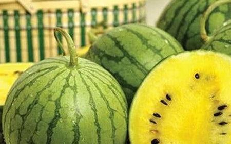 从前吃瓜跟现在吃瓜的区别,吃瓜文化的演变与变迁