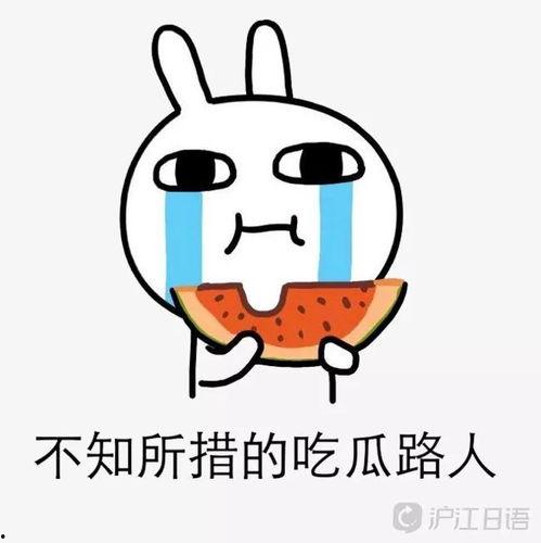 谈资吃瓜人,揭秘娱乐圈背后的故事