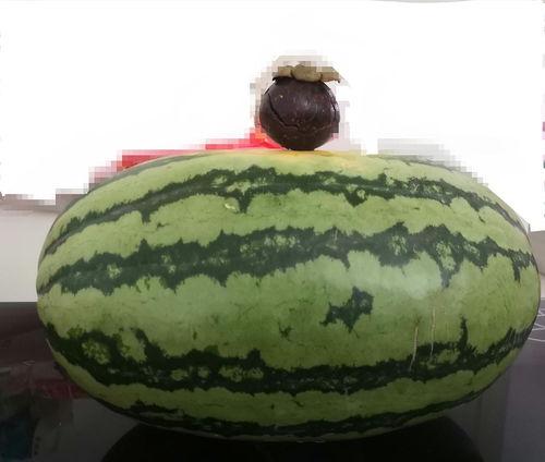 大家文明吃瓜,共享和谐网络空间