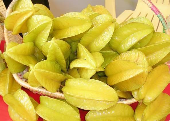 瓜哥吃杨桃,揭秘吃杨桃的奇妙之旅