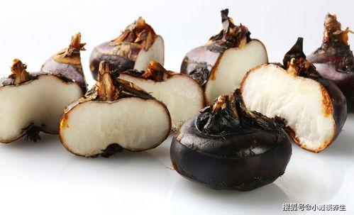 瓜哥吃瓜最最奇葩的蘑菇