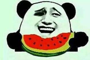 你还让人吃瓜,揭秘娱乐圈那些让人吃瓜的幕后故事