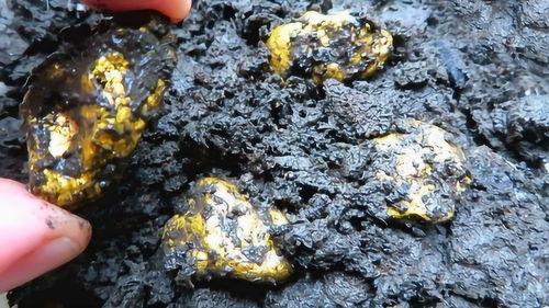 野外寻宝吃瓜视频,跟随吃瓜视频探寻宝藏之谜