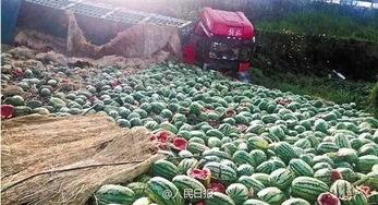 吃瓜网瓜闻天下